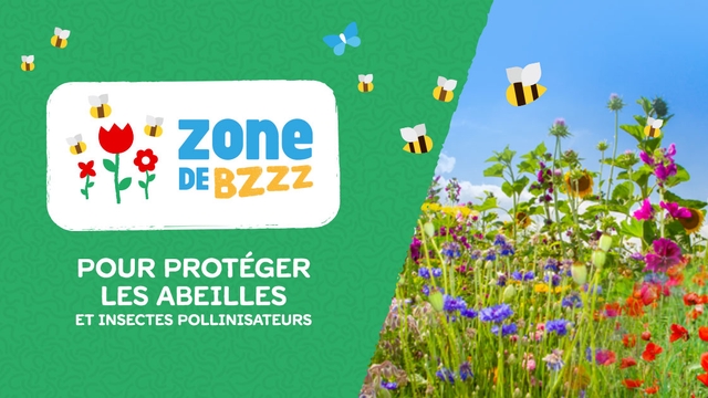 zonedebzzz_fb_1200_2019.0J7zPCxwtH85