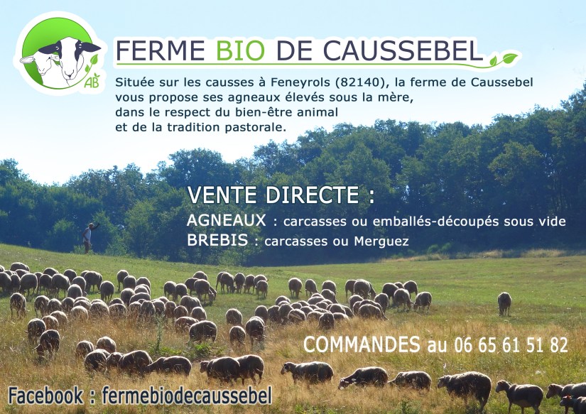 Affiche Caussebel-VenteDirecte